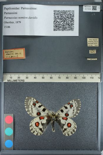 Media type: image;   Entomology 175032
